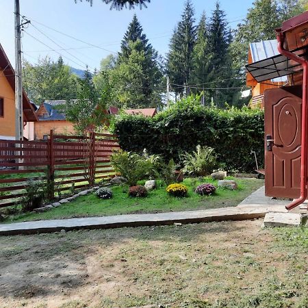 Вілла Casuta Paterau Cheia, Prahova Кея Екстер'єр фото